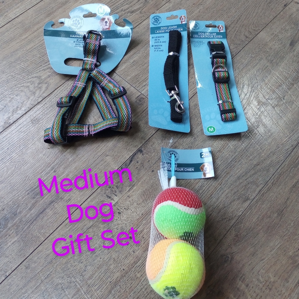 | 4 piece |Medium  Dog or  growing Puppy Gift Set Friendship bracelet style